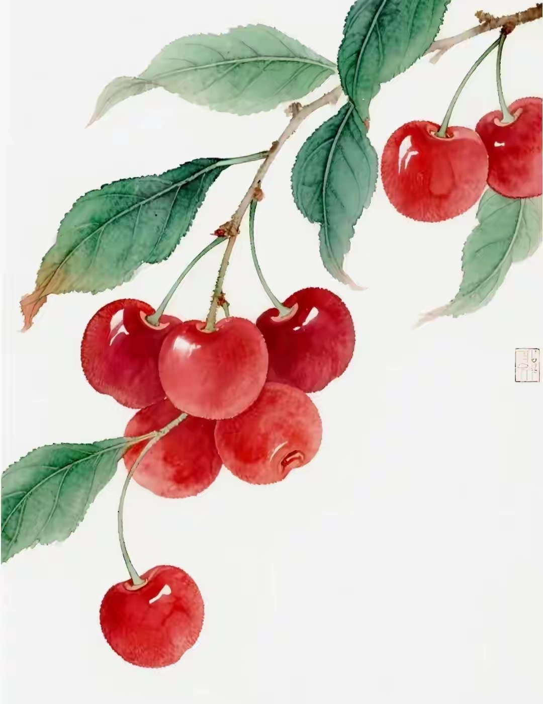涂鸦的红樱桃图跟真的一样,樱桃上闪着光泽新鲜诱人,好像摘下来吃上几
