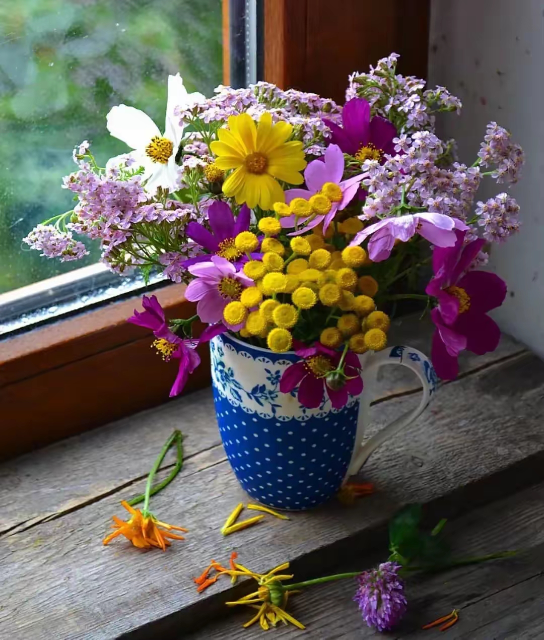 路边的野花不要采图片!漂亮的小花朵用来插花艺术还挺漂亮!