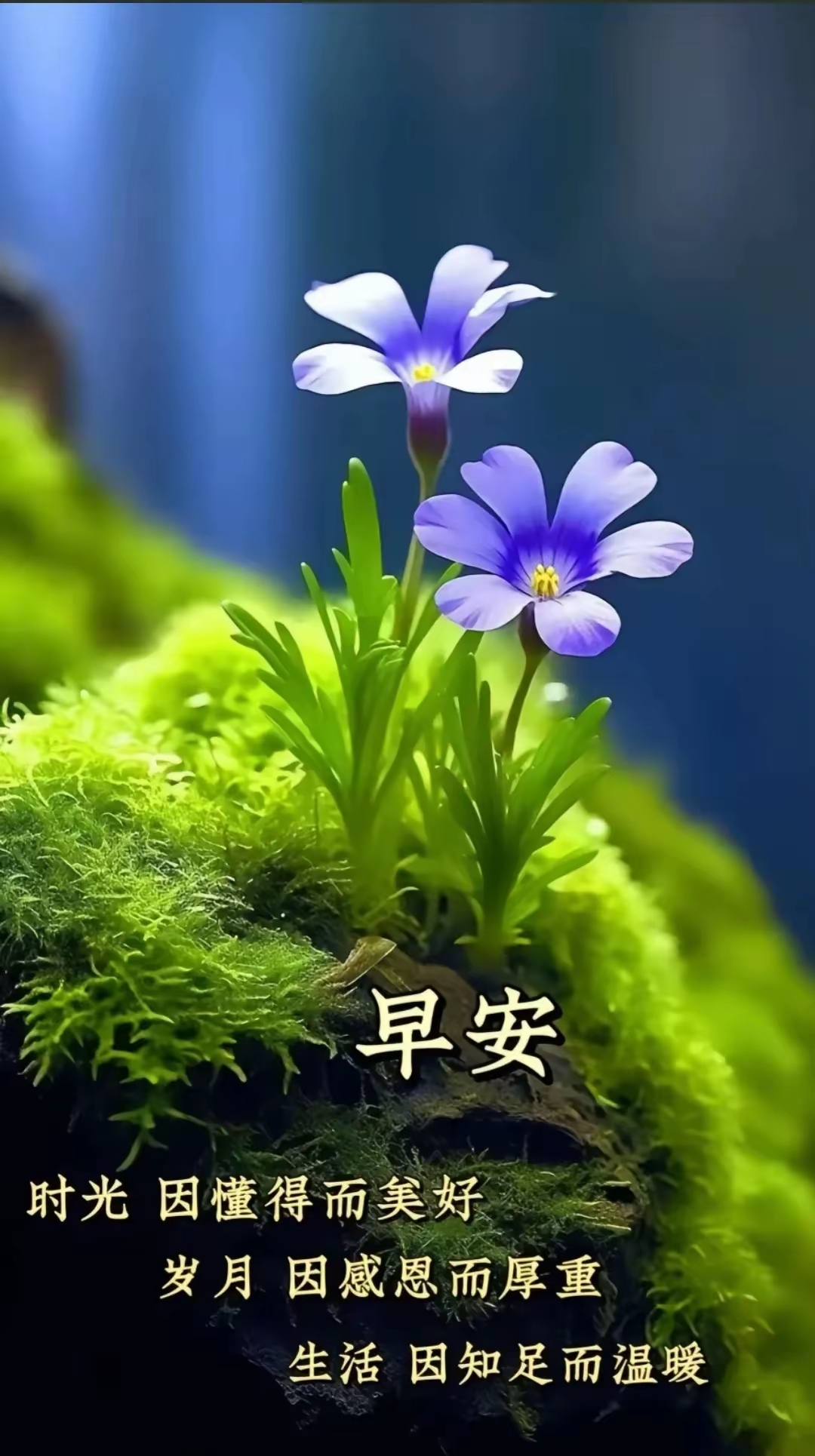 早安问候语图片,适合发朋友圈的句子图片,早起发送给好朋友的图片