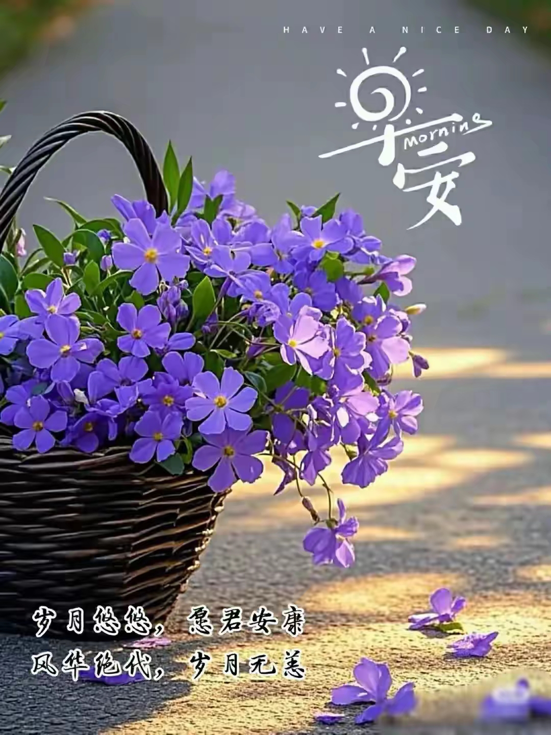 早安你好问候语图片图片.发给朋友的问候早安你好的图片!