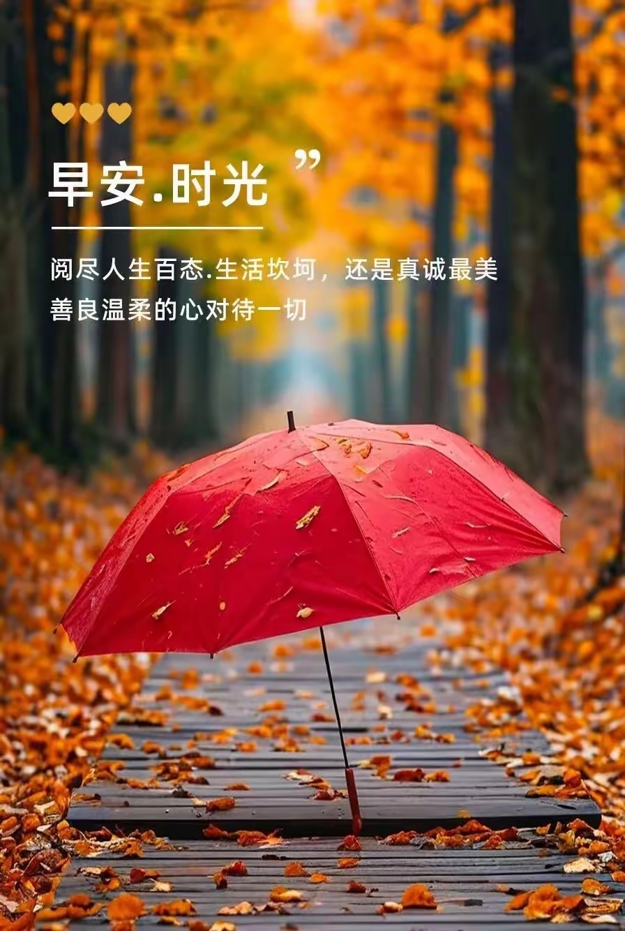 早安问候语图片精美图片!图片精美句子温馨的早安问候语图片