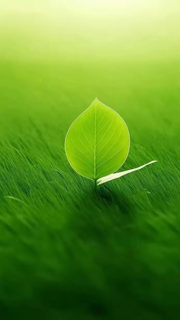 做壁纸屏保背景墙的图片!清新淡雅干净的图片!