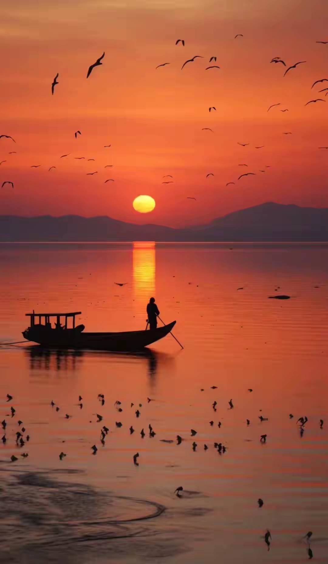 好美的夕阳红图片!