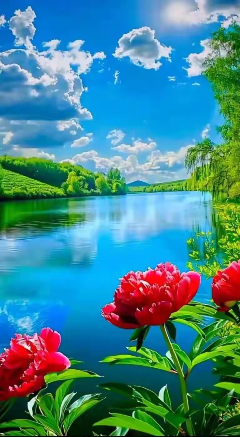 湖光山色间,两朵红玫瑰静静绽放,映衬着蔚蓝天空,美得令人心醉.