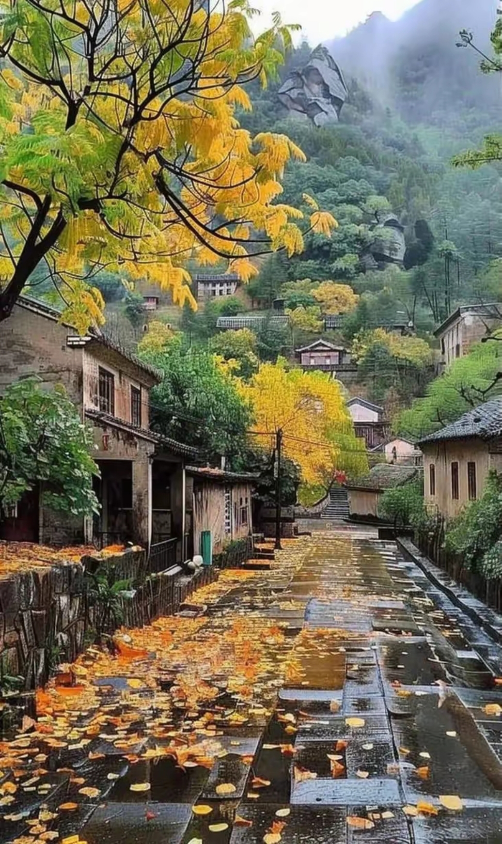 秋天雨后的青石板小路图片!