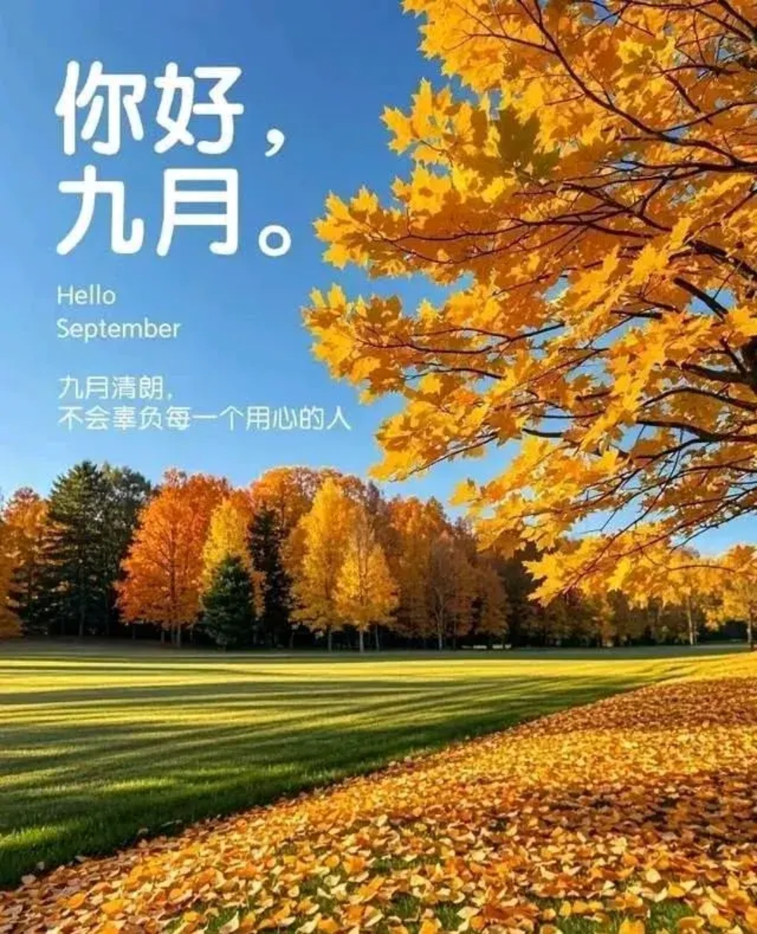 你好,九月!清朗的秋风里,每一缕阳光都藏着温柔的期许