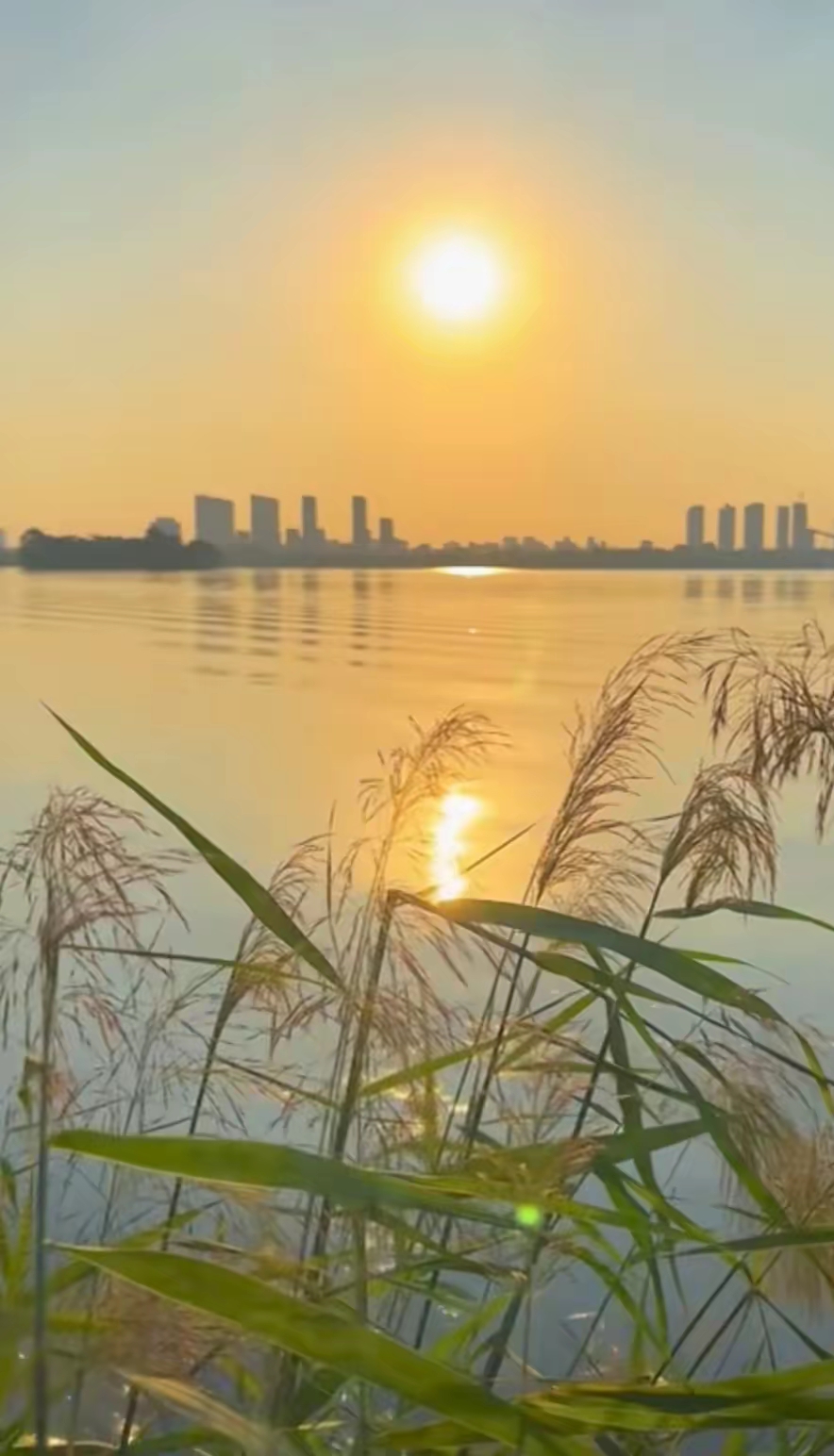 海边夕阳图片 真实图片