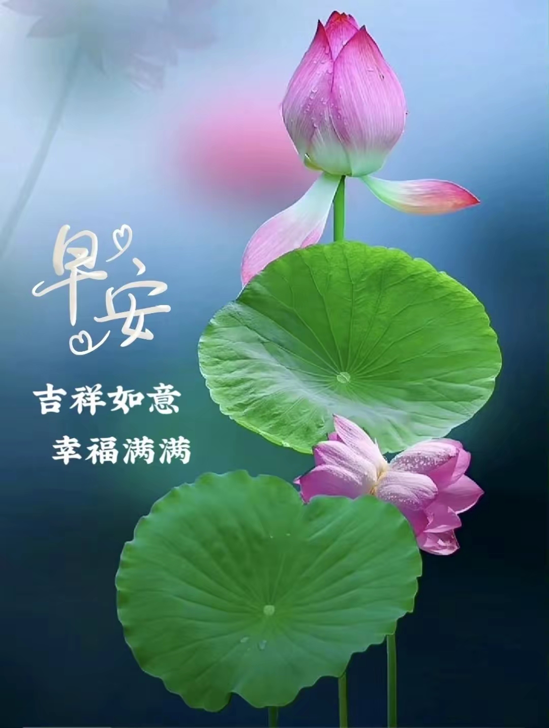 早安,吉祥如意幸福满满,早安清新自在,早安顺心顺意精美句子图片
