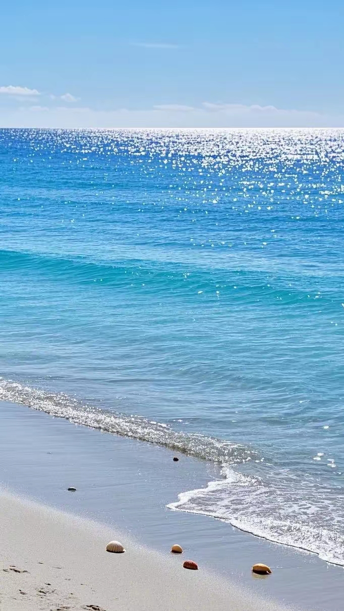 高清晰海边椰树壁纸屏保手机背景墙的图片!