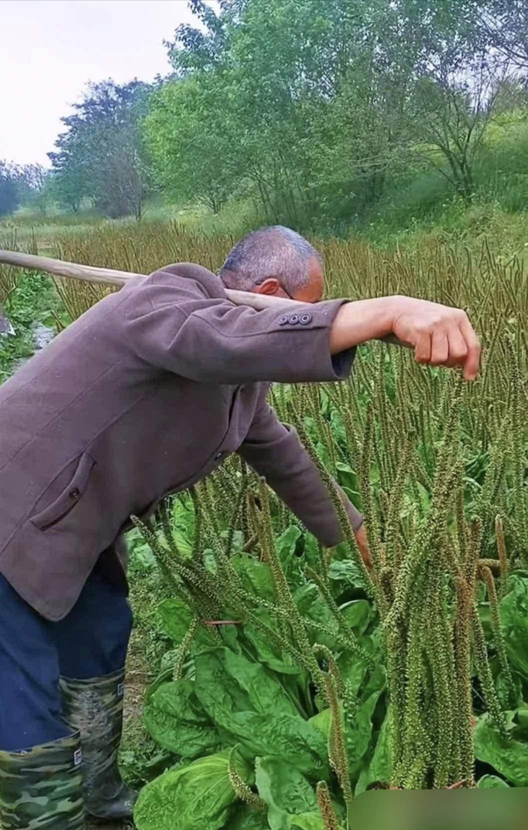 短发近乎秃顶,却丝毫不减他坚韧的精神