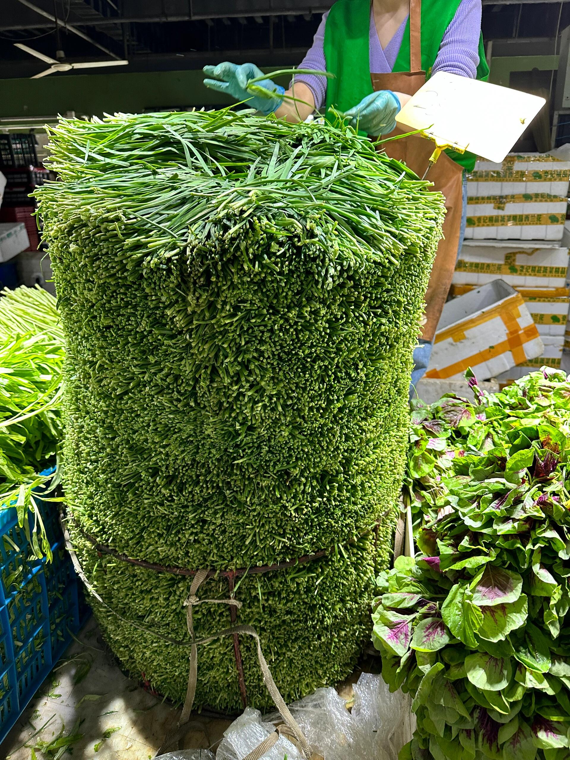 绿油油的大韭菜