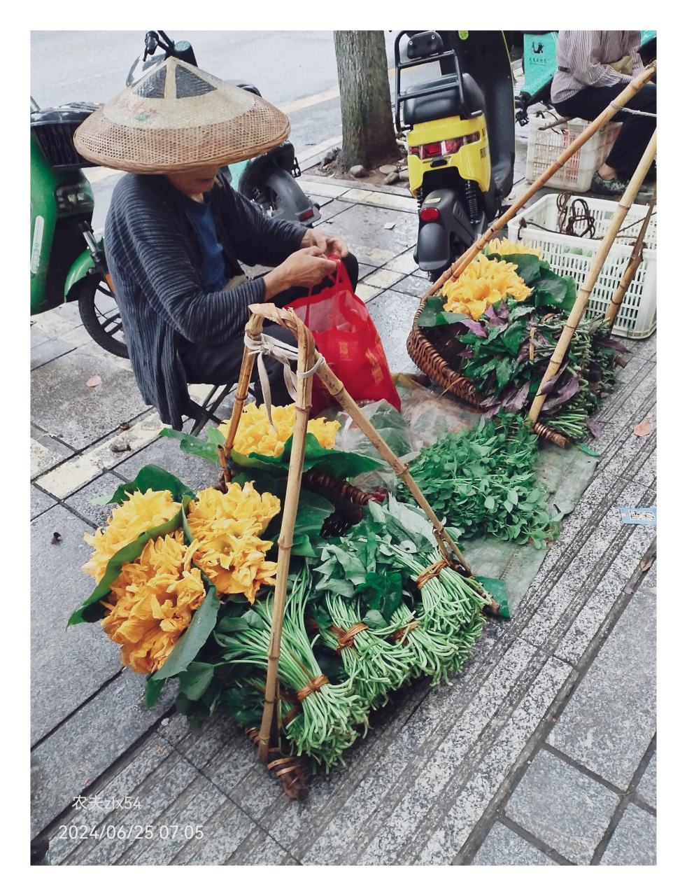 弯腰买菜风光图片