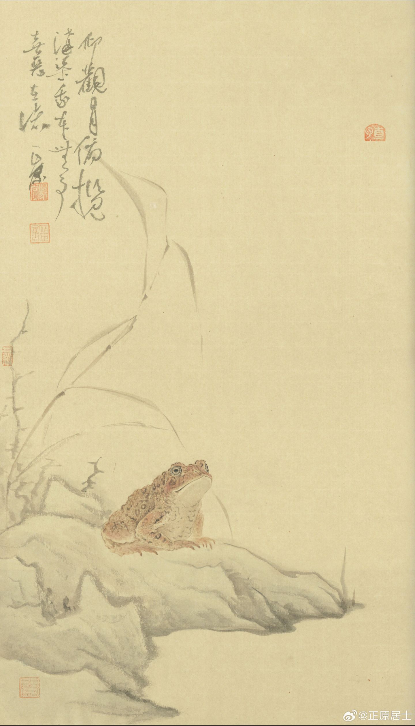 人赠癞蛤蟆,或金蟾. 和我又有什么关系?