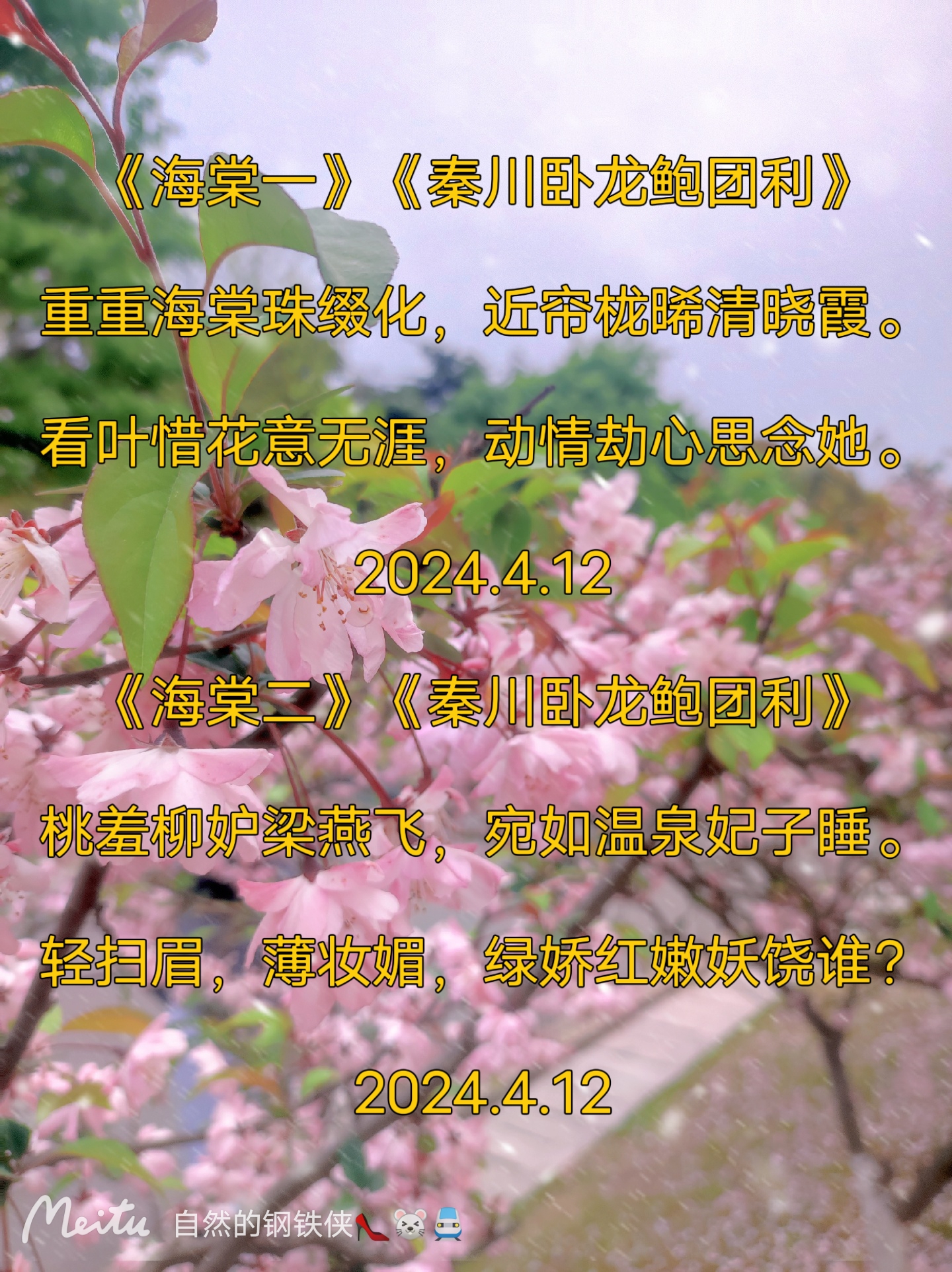12 《海棠二》《秦川卧龙鲍团利》 桃羞柳妒梁燕飞,宛如温泉妃子睡.