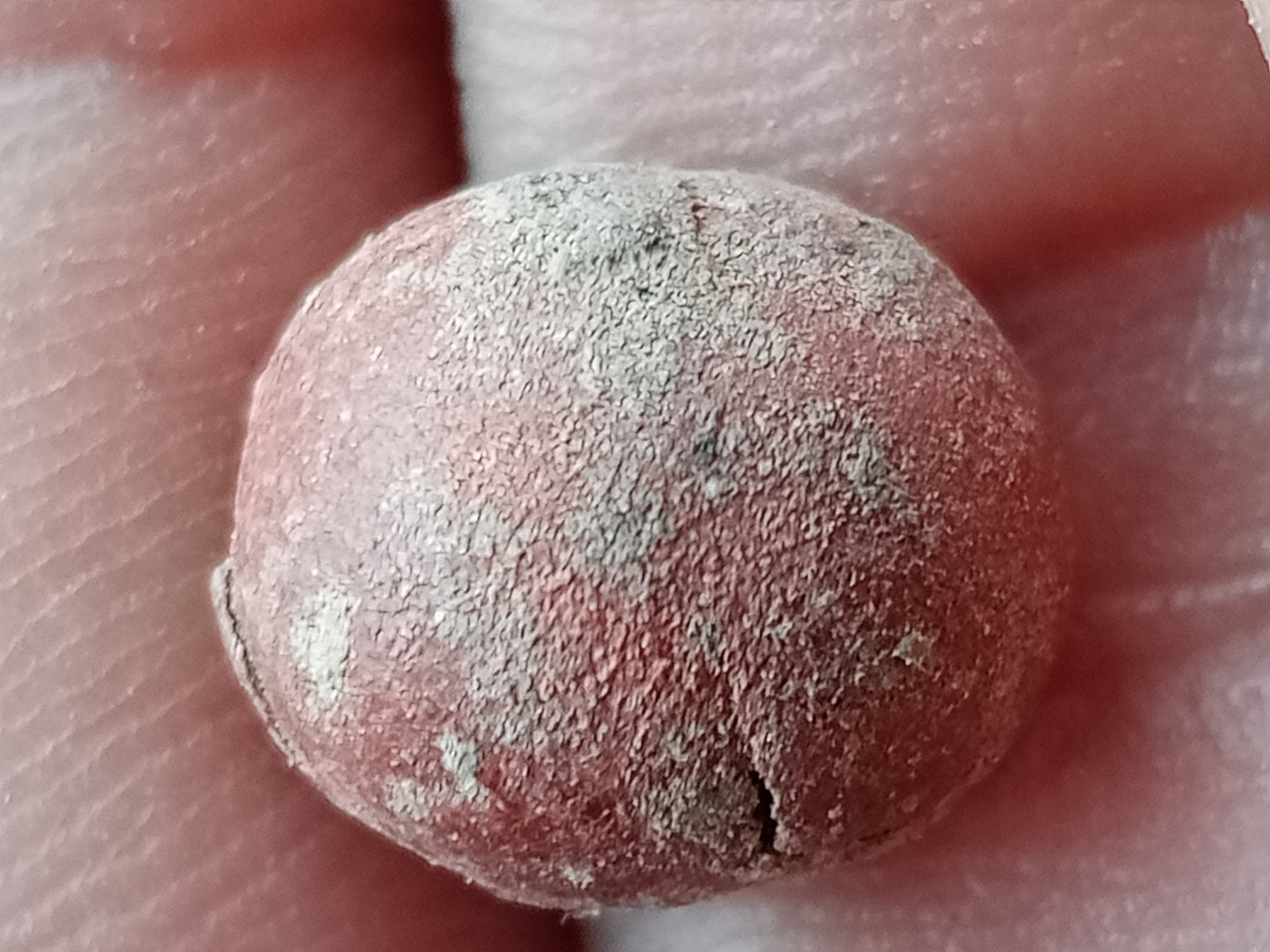 古代炼制的丹药,实物如图,还有几颗绿色的,这种应该没几个人有吧