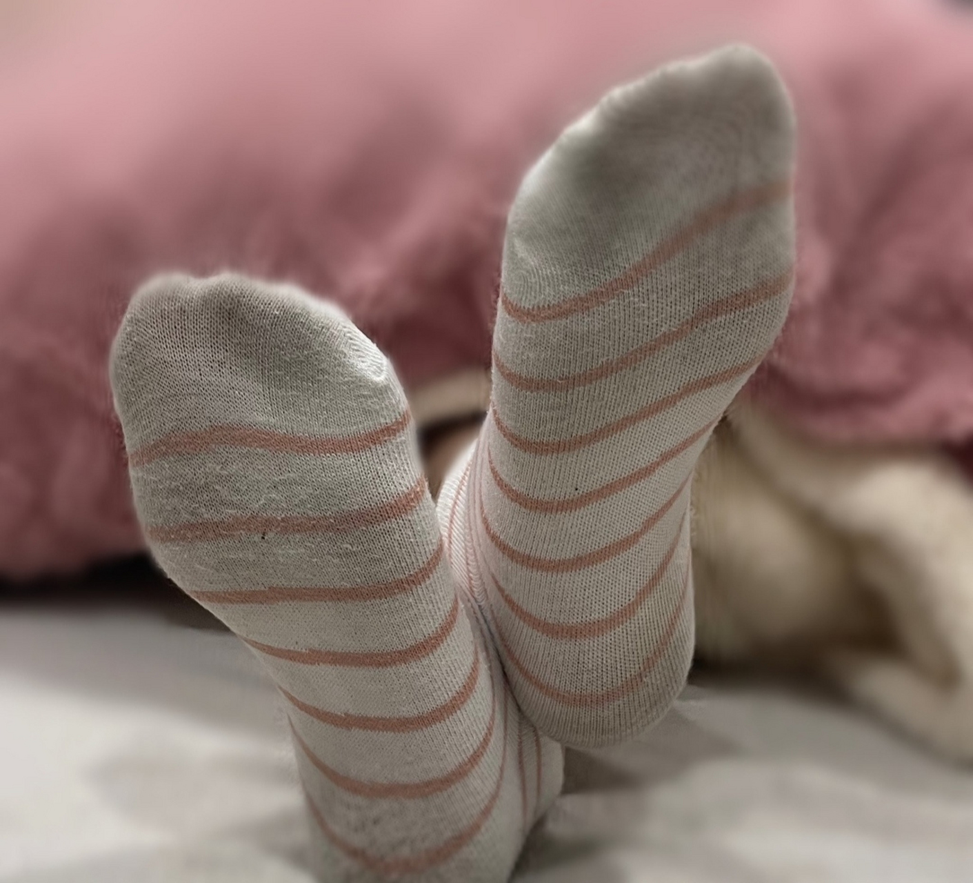 粉白条纹,挚爱棉袜#臭袜子