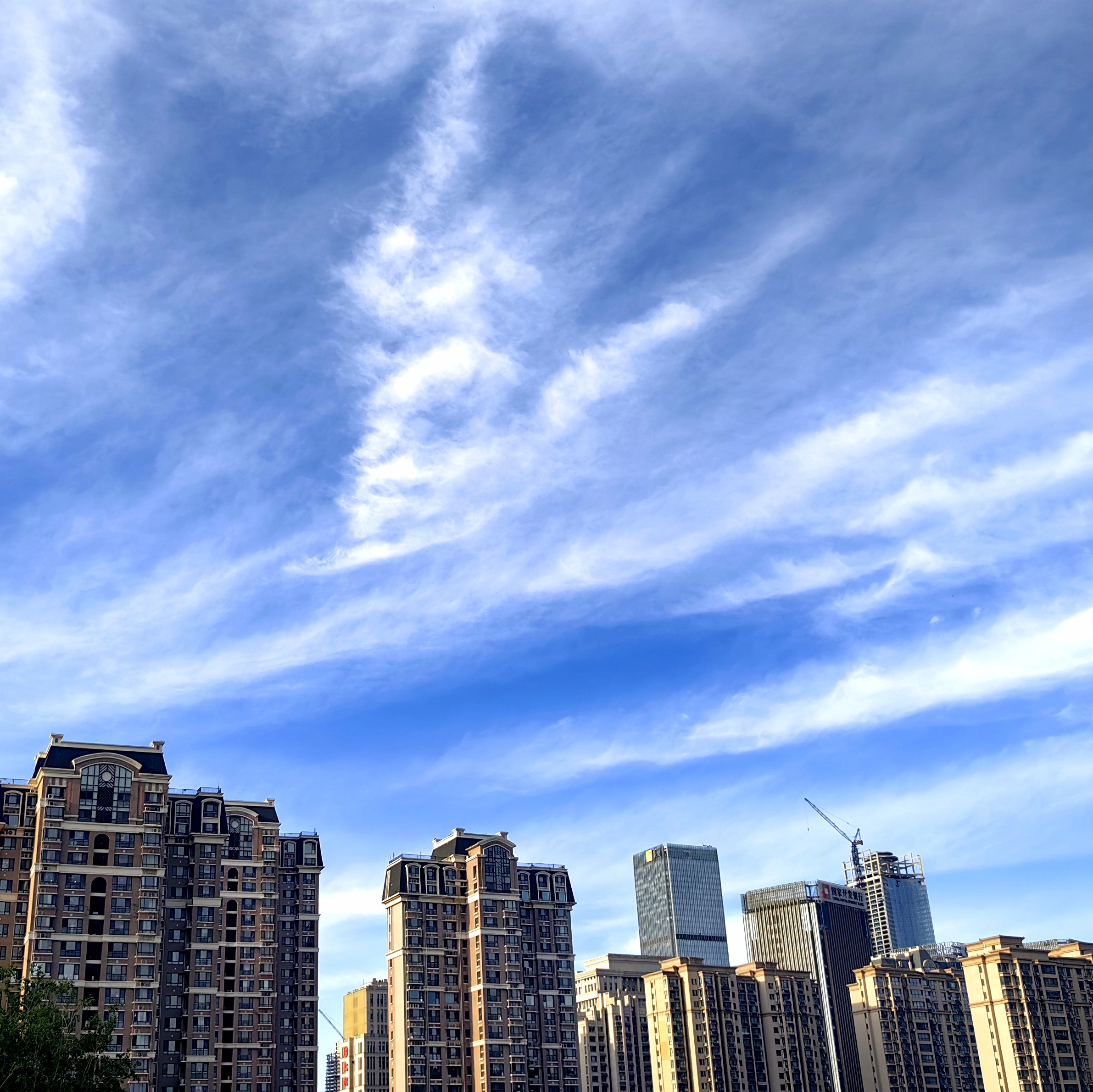 湛蓝的天空,白云飞卷,高楼耸立,夕阳晚照,引人举首注目