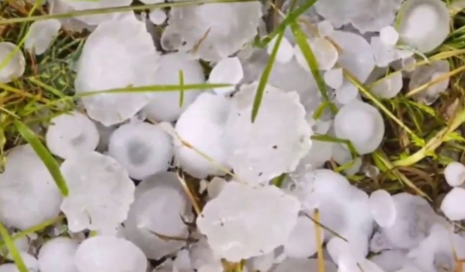 河北保定7.1日突下冰雹,尺寸鸡蛋大小.