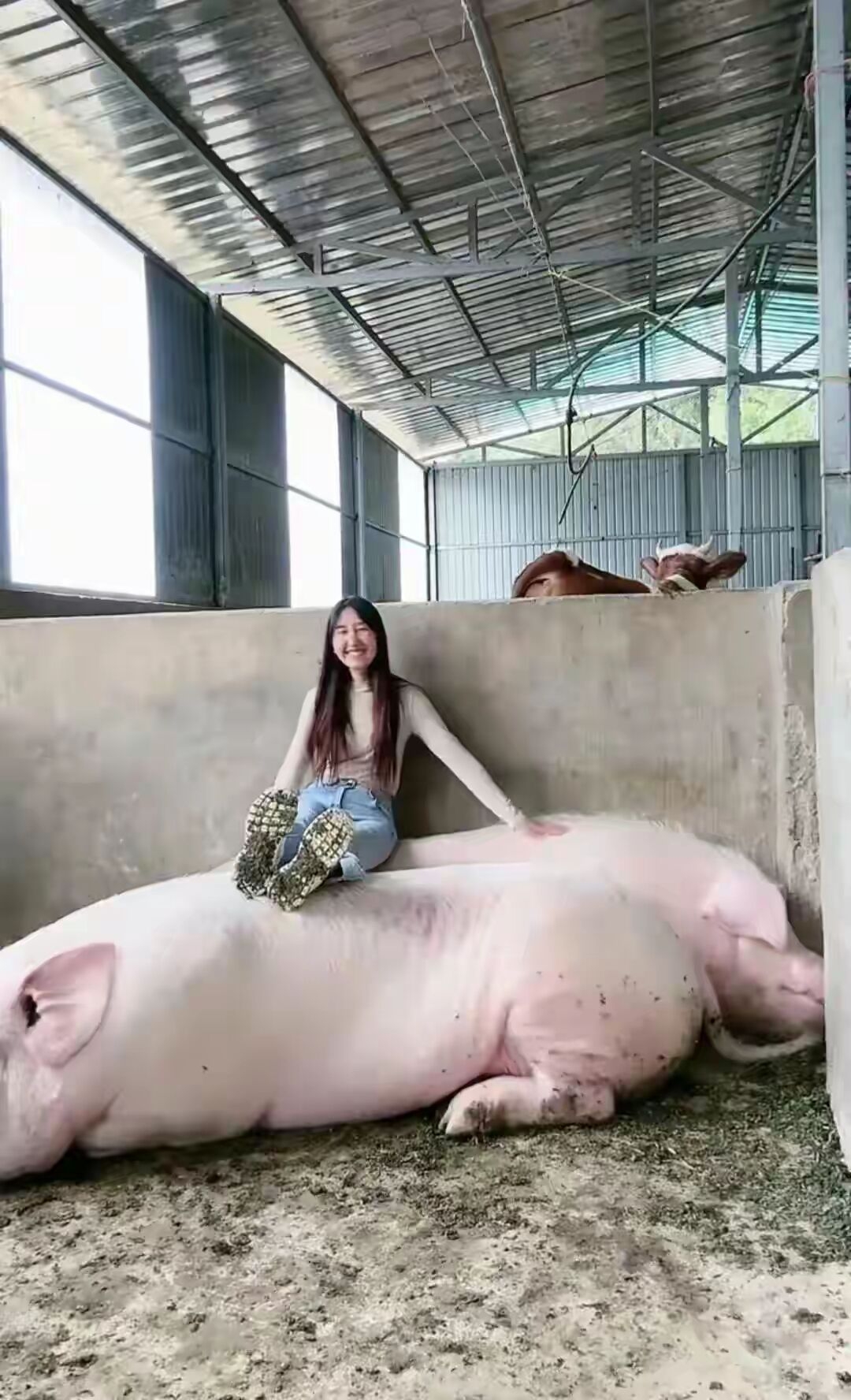 美女你真的不怕猪拱你吗