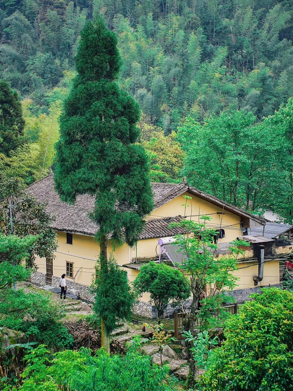 宜春南惹古村介绍图片