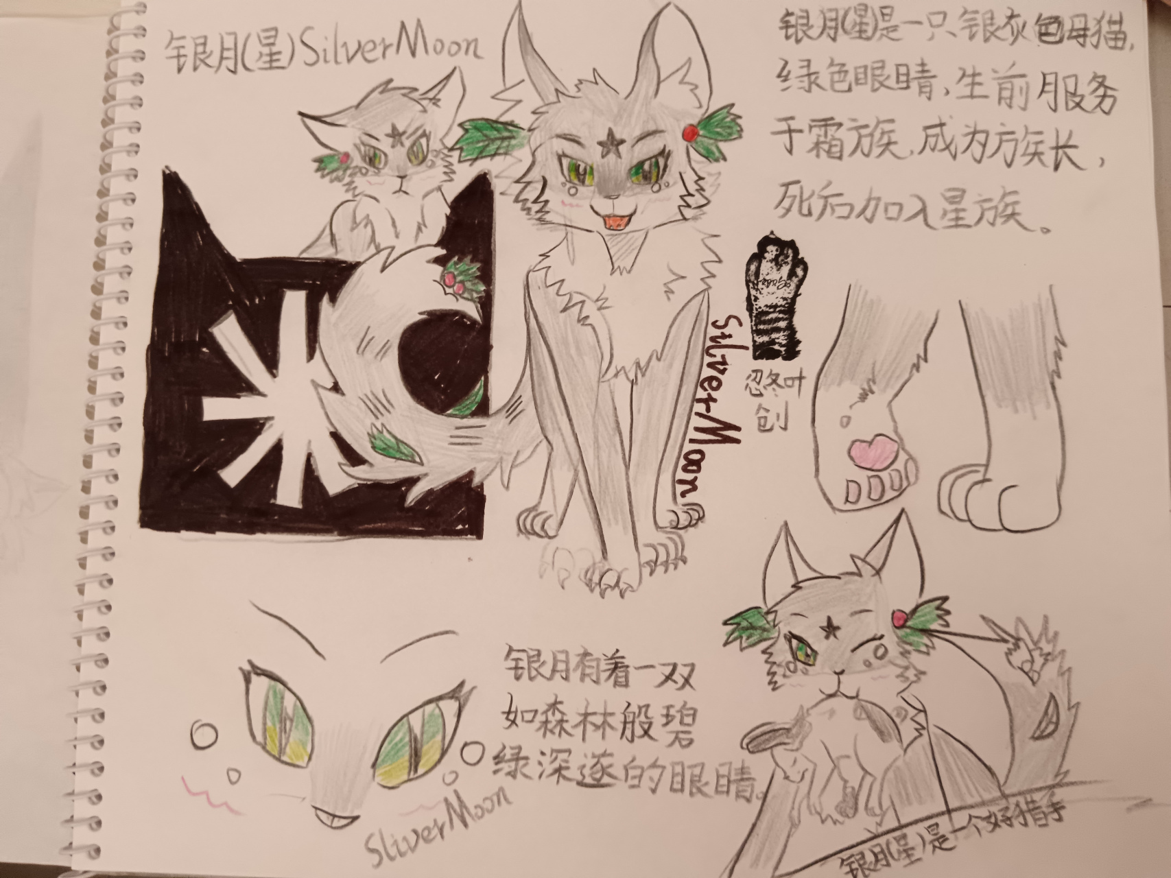 霜族银月silvermoon  你的画像我画完了,好看吗?