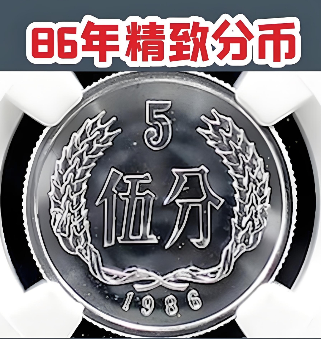 五分硬币最新价格