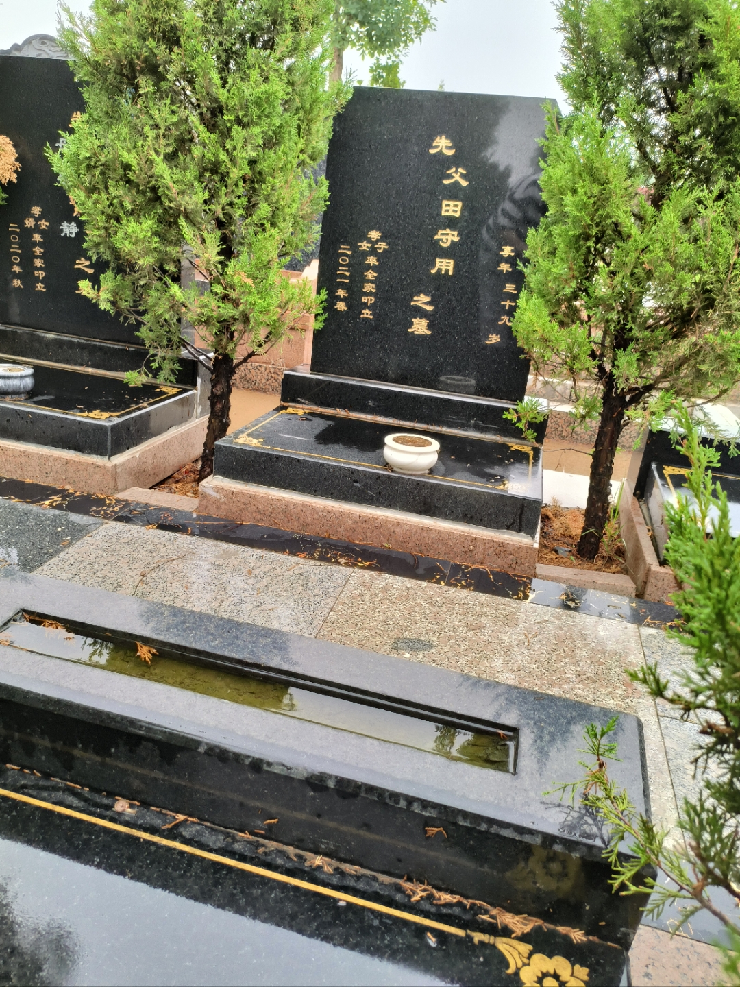 天津公墓直办 永安陵公墓 万寿园公墓 东华林公墓 永安公墓 王庆坨