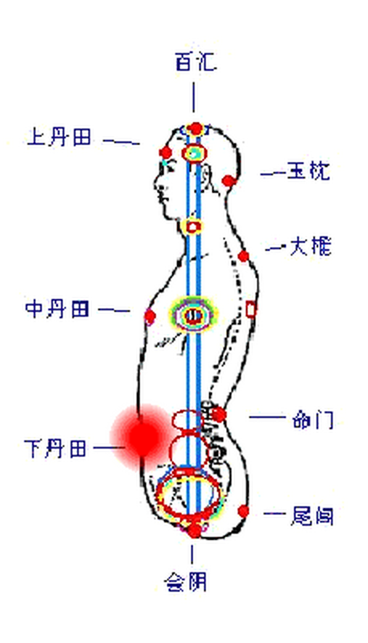 人体经脉大周天运行图图片