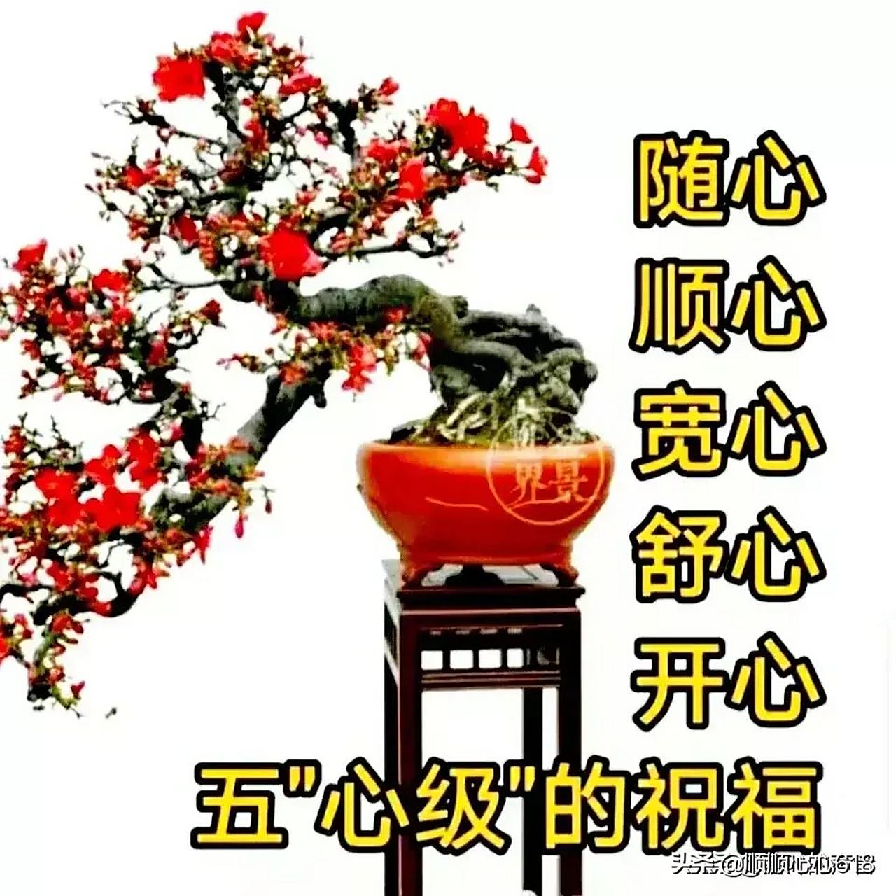 [太阳]   怎么开心怎么活! 怎么舒坦怎么过!