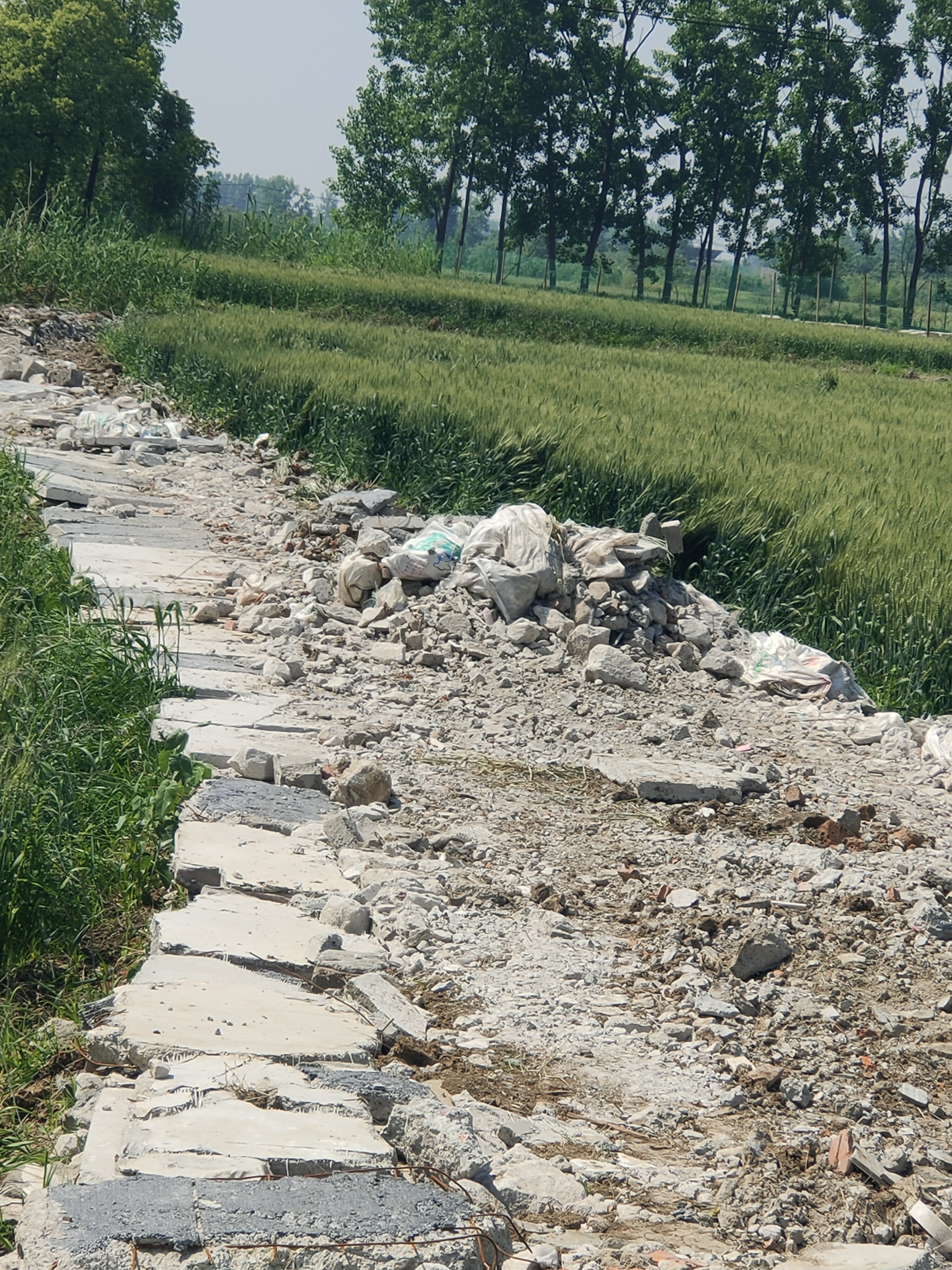 坑坑洼洼的水泥路图片图片