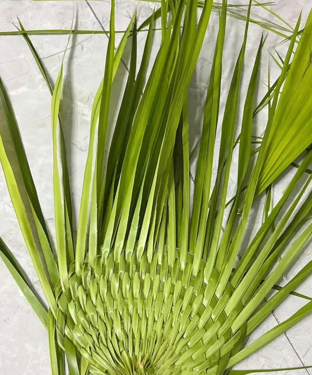 这蒲扇编织看着简单,动起手来,估计没几个会编了吧?