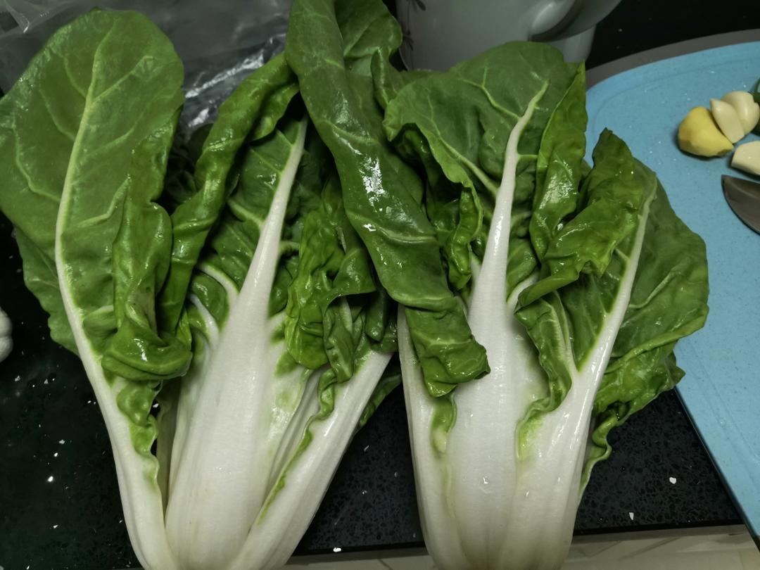 莙荙菜,别名,牛皮菜,叶用荙菜.@烟火煮夫的动态