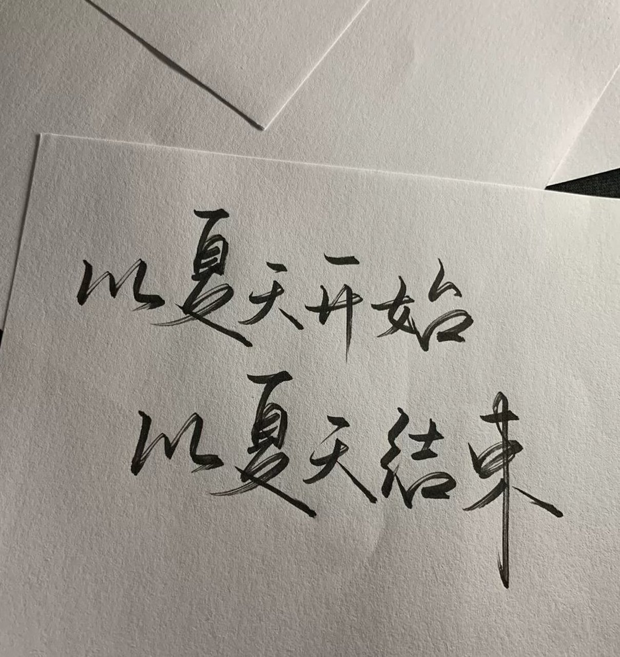 以夏天开始,以夏天结束![兔子][兔子]
