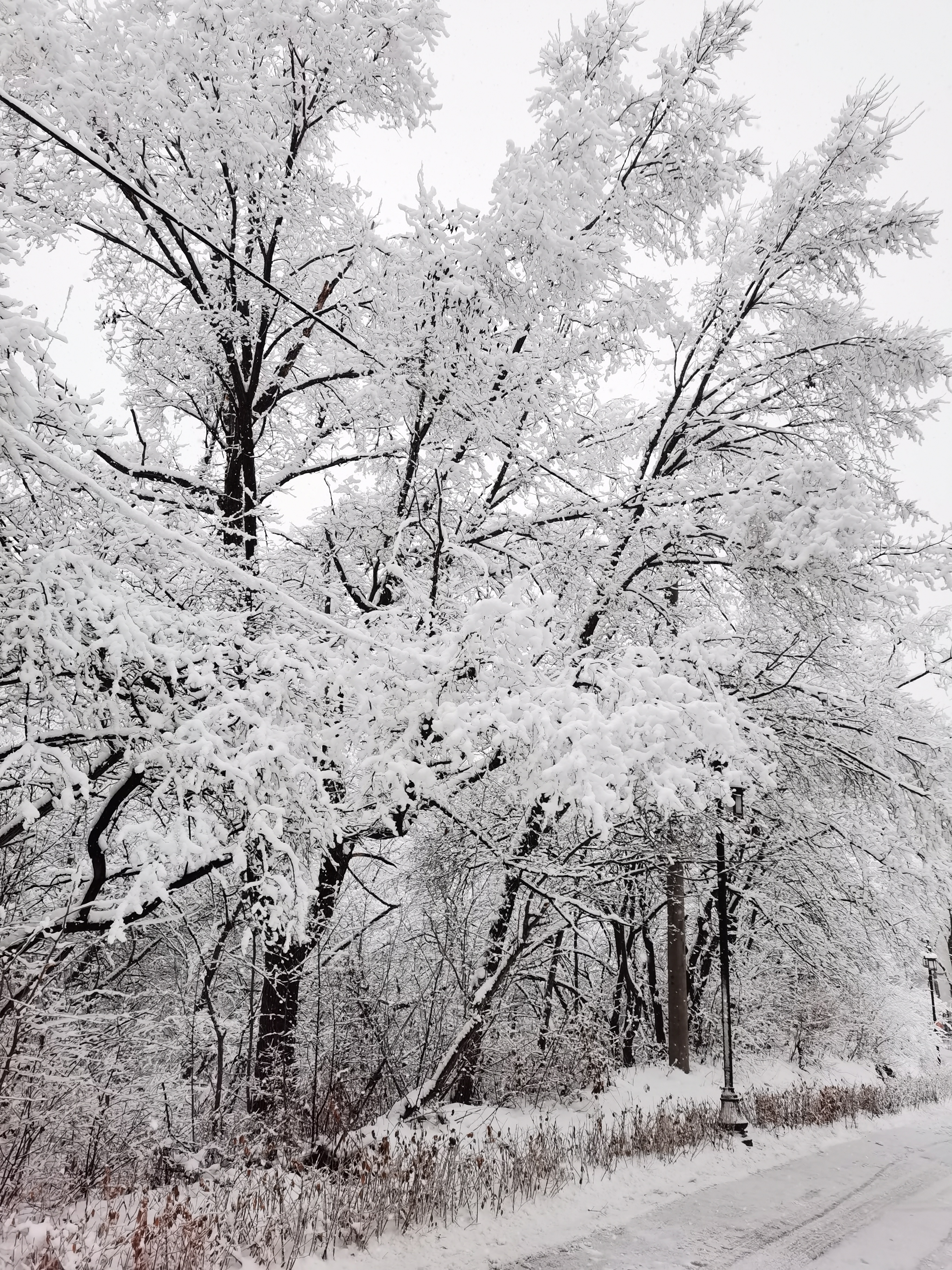 吉林雪景图片 北山图片