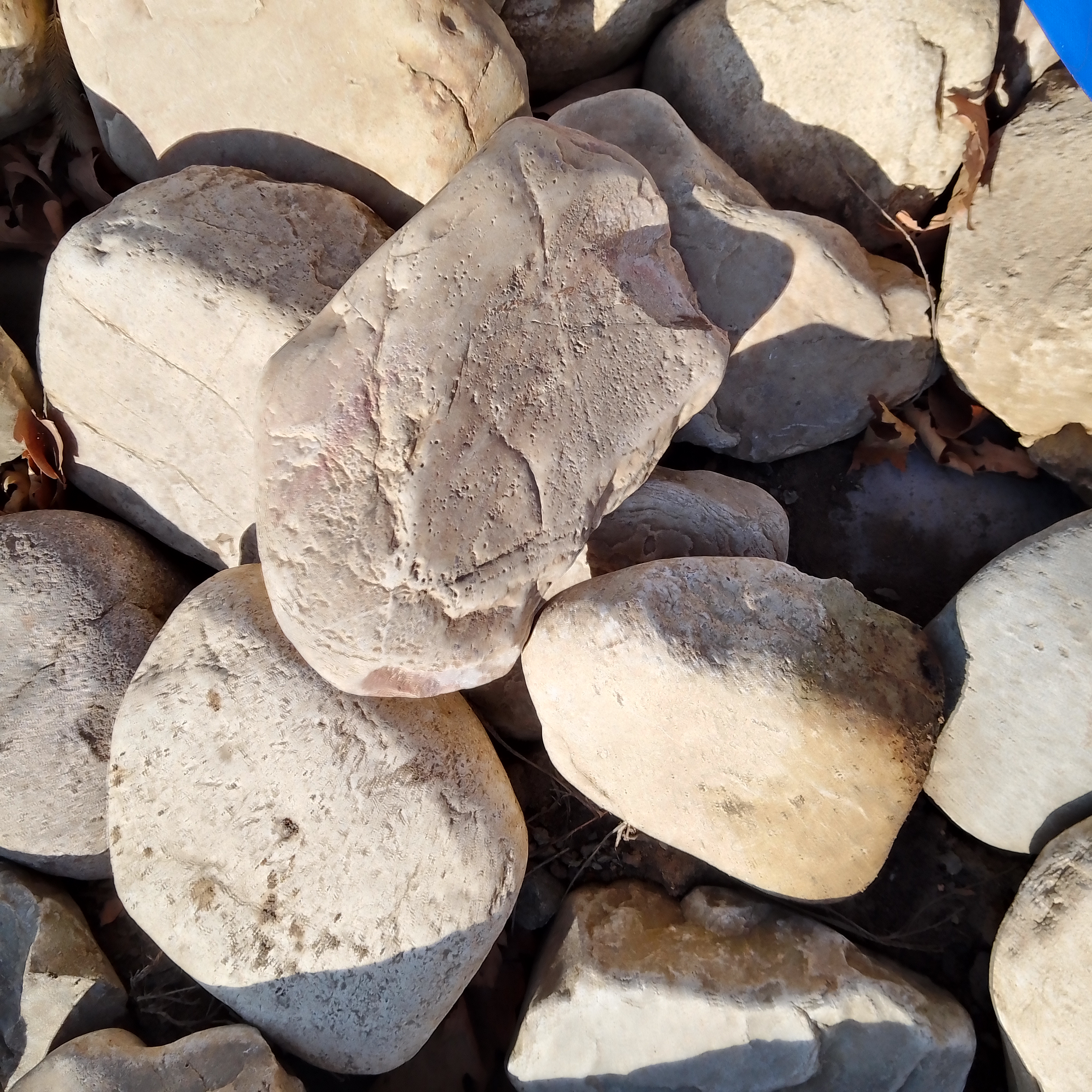 于是,我踏上了在山里拣石头的旅程,期望在与自然的