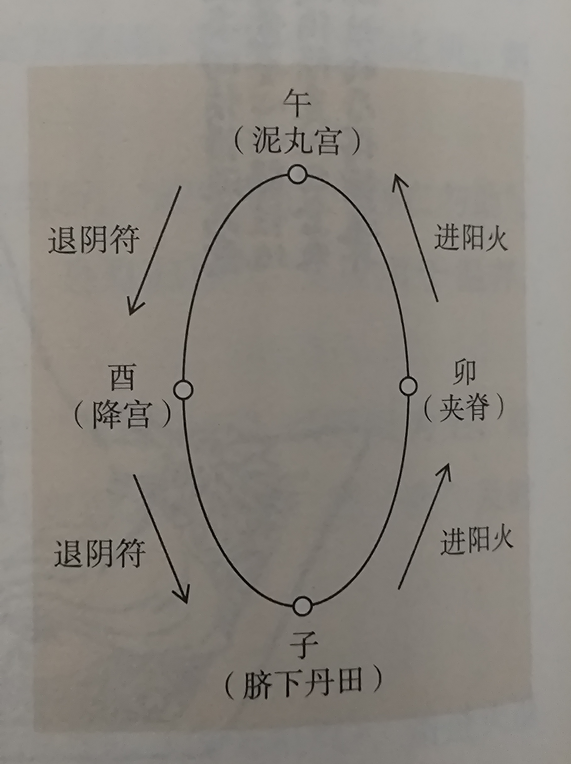 驾车之轻柔,由夹脊至玉枕,巨步急奔,如鹿驾车之迅捷