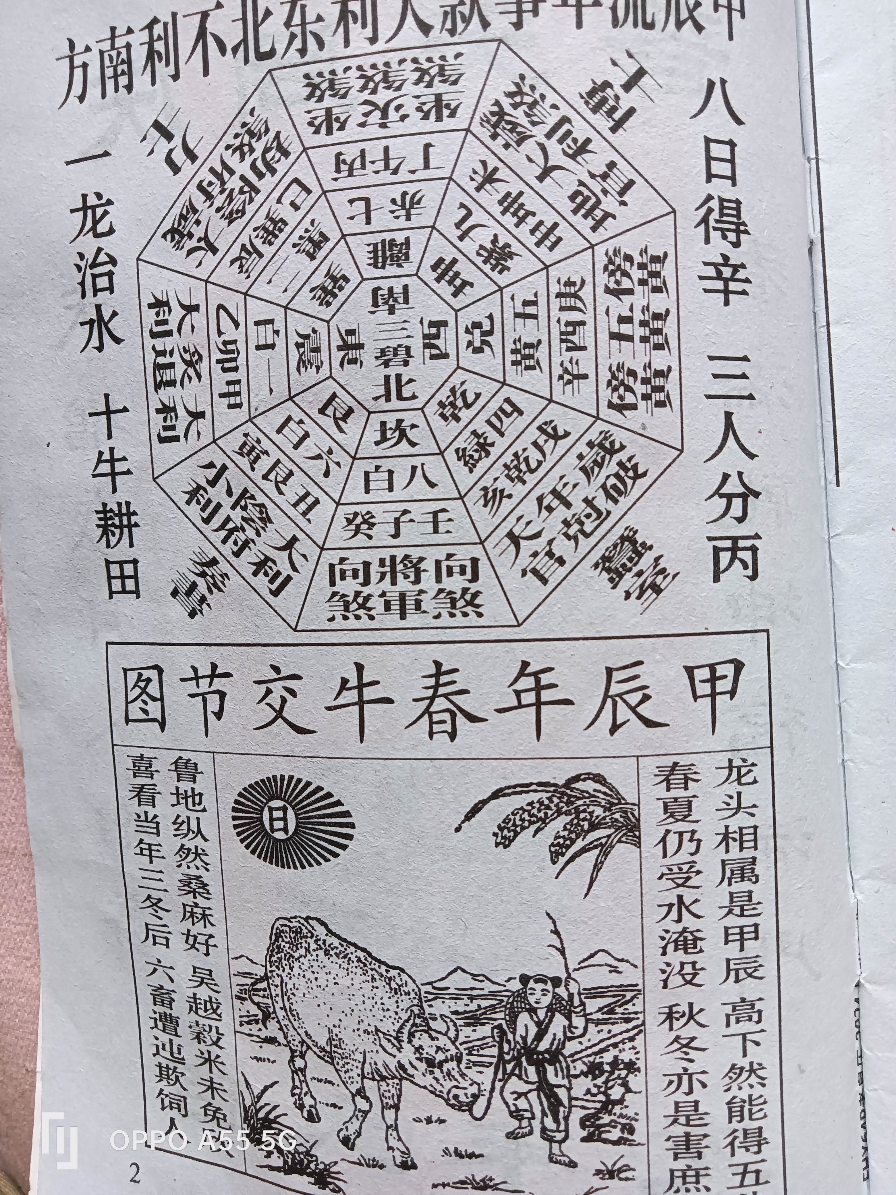 日牛的方法 步骤图片