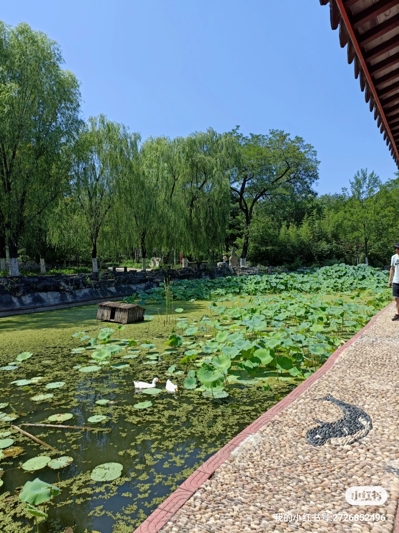 原来,为了了解乞丐有钱后的变化,上帝问他,给