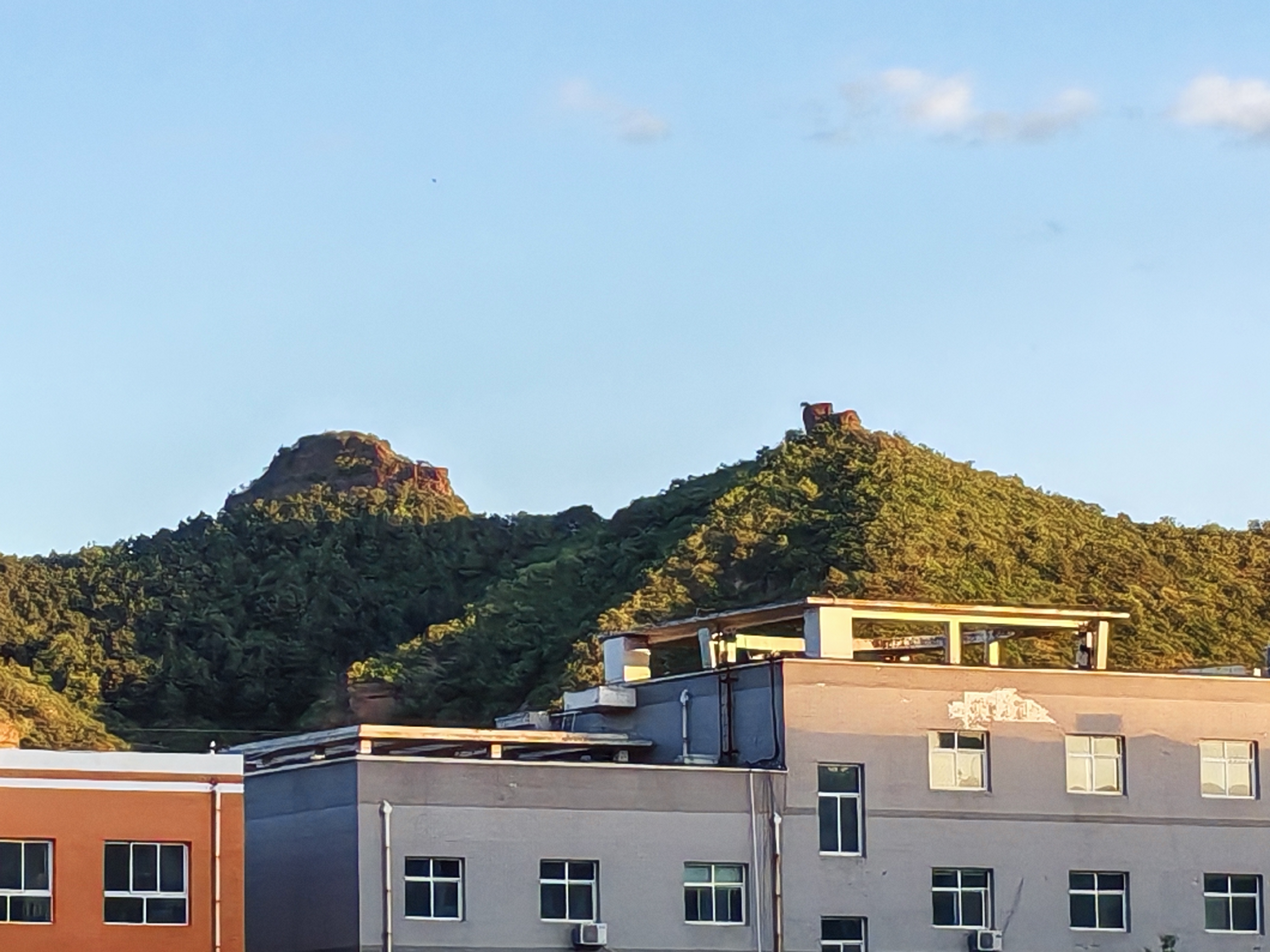 恼人,烦人,愁人!一检查身体,没有少什么零件,却多了零件