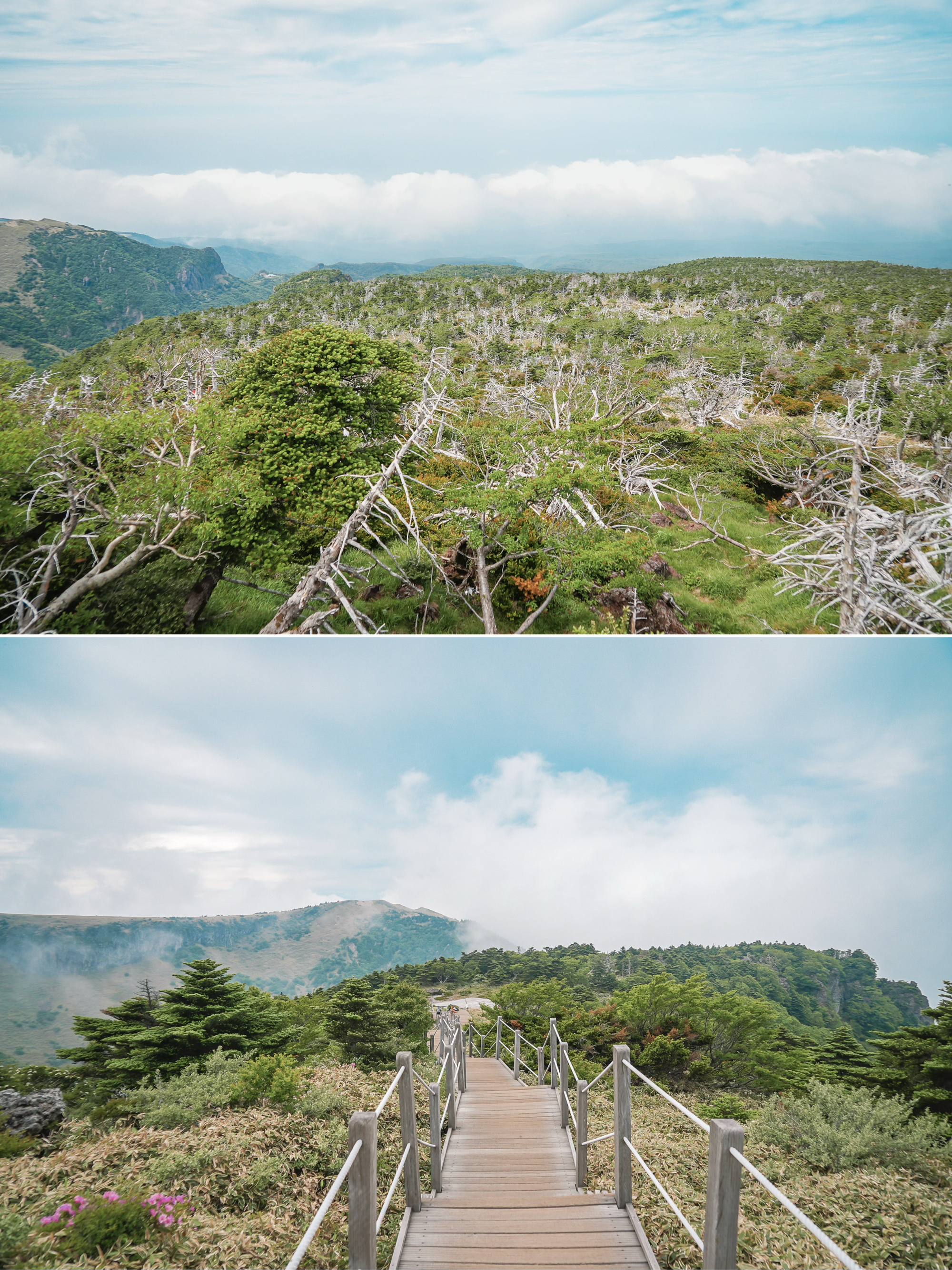 汉拿山爬山图片