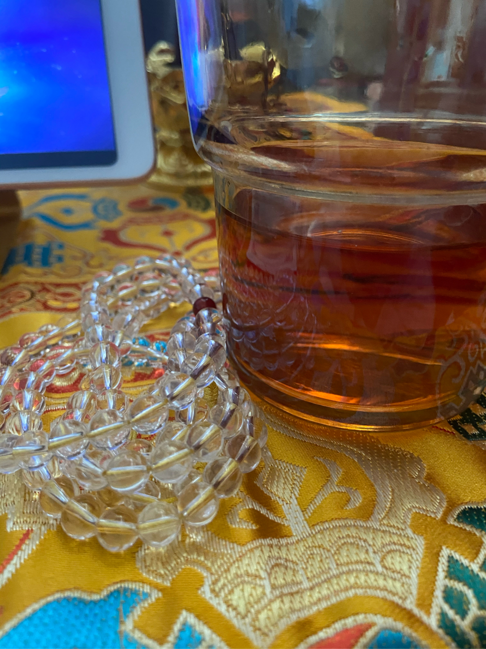 all of us ought to apologize to the earth.