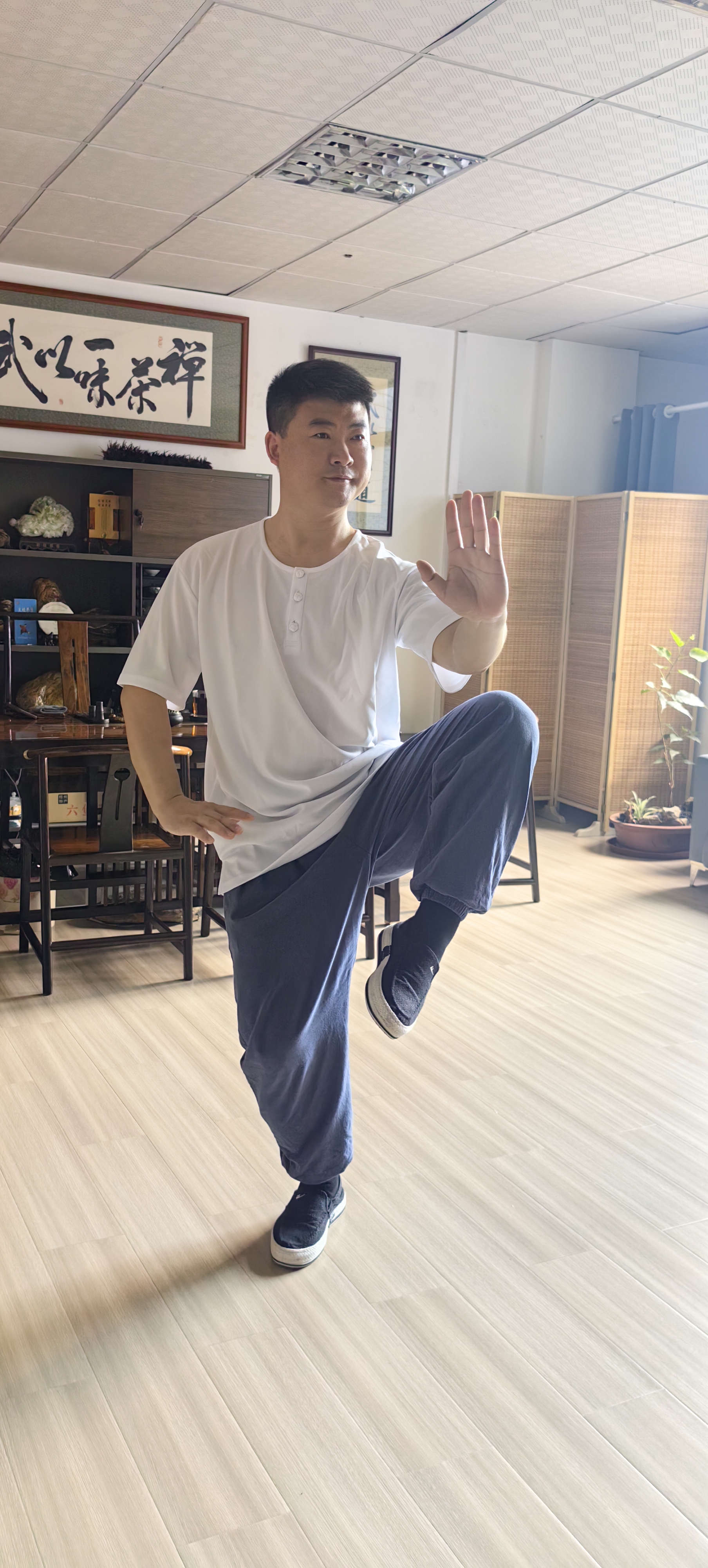 养生太极拳初学入门视频大全(养生太极拳初学入门视频大全完整版)