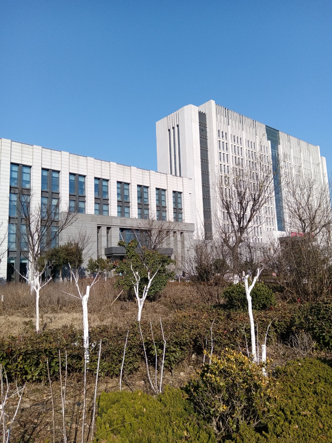 这年头,找工作实在是太难了,我