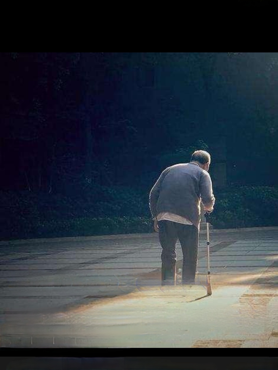 育子常忧百事父亲的背影图片老父亲的背影图片父亲苍老的背影推片