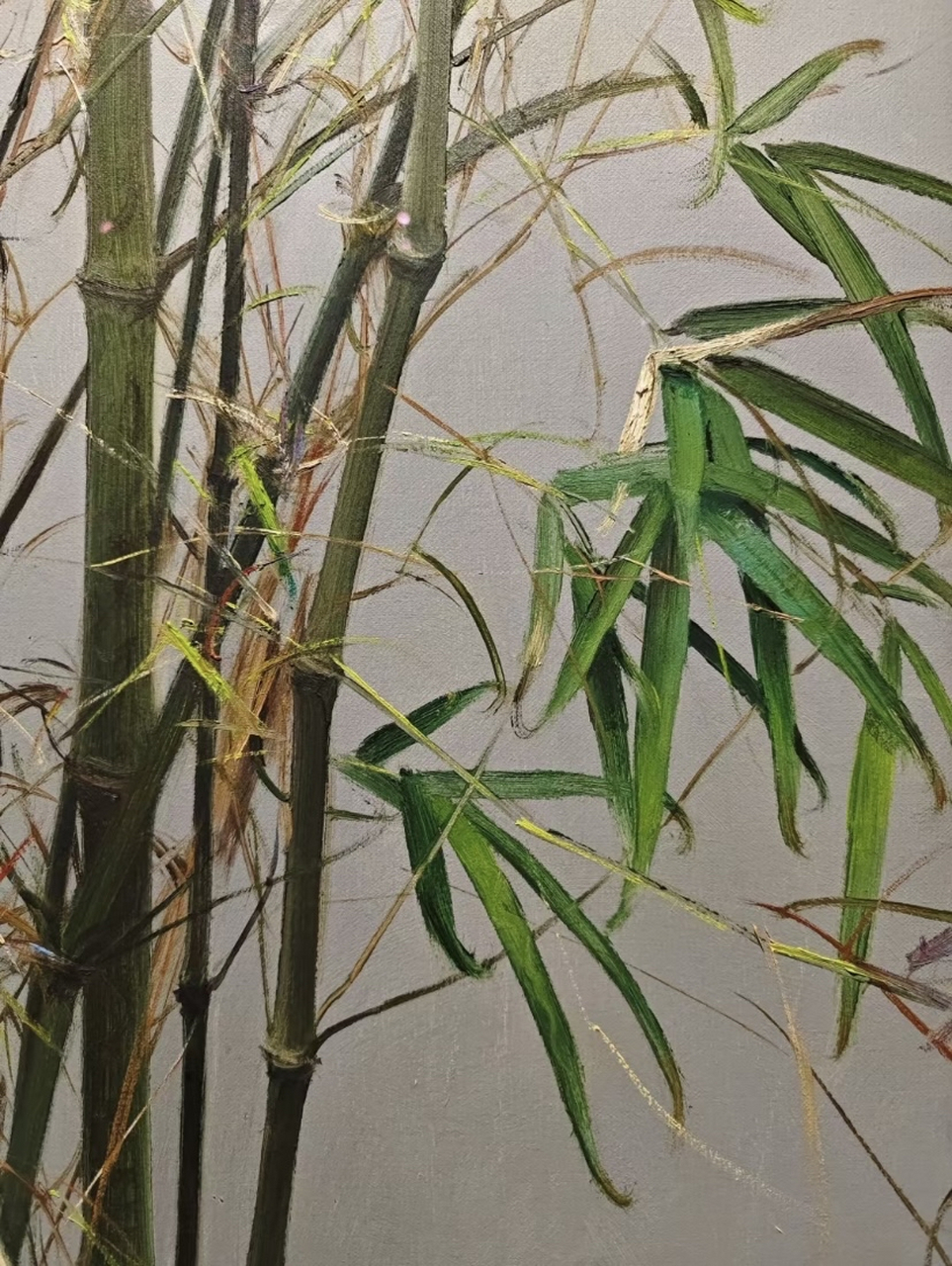 美术生每日名画欣赏|冷军的竹画的好绝!