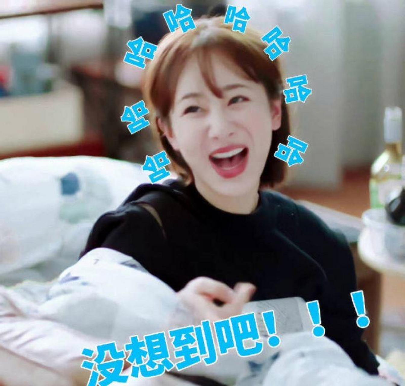 杨紫的朋友圈哈哈哈哈哈哈哈哈