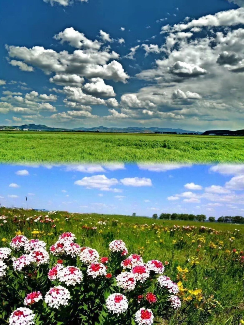 丰宁坝上草原23°的夏天·骑马·篝火烤全羊·高性价比推荐 94说走