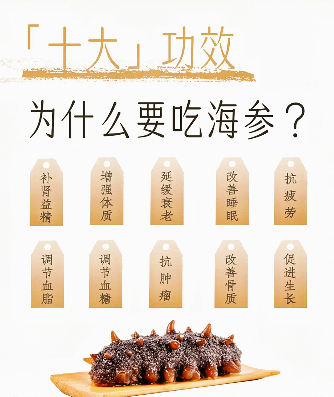 海参有哪些功效?