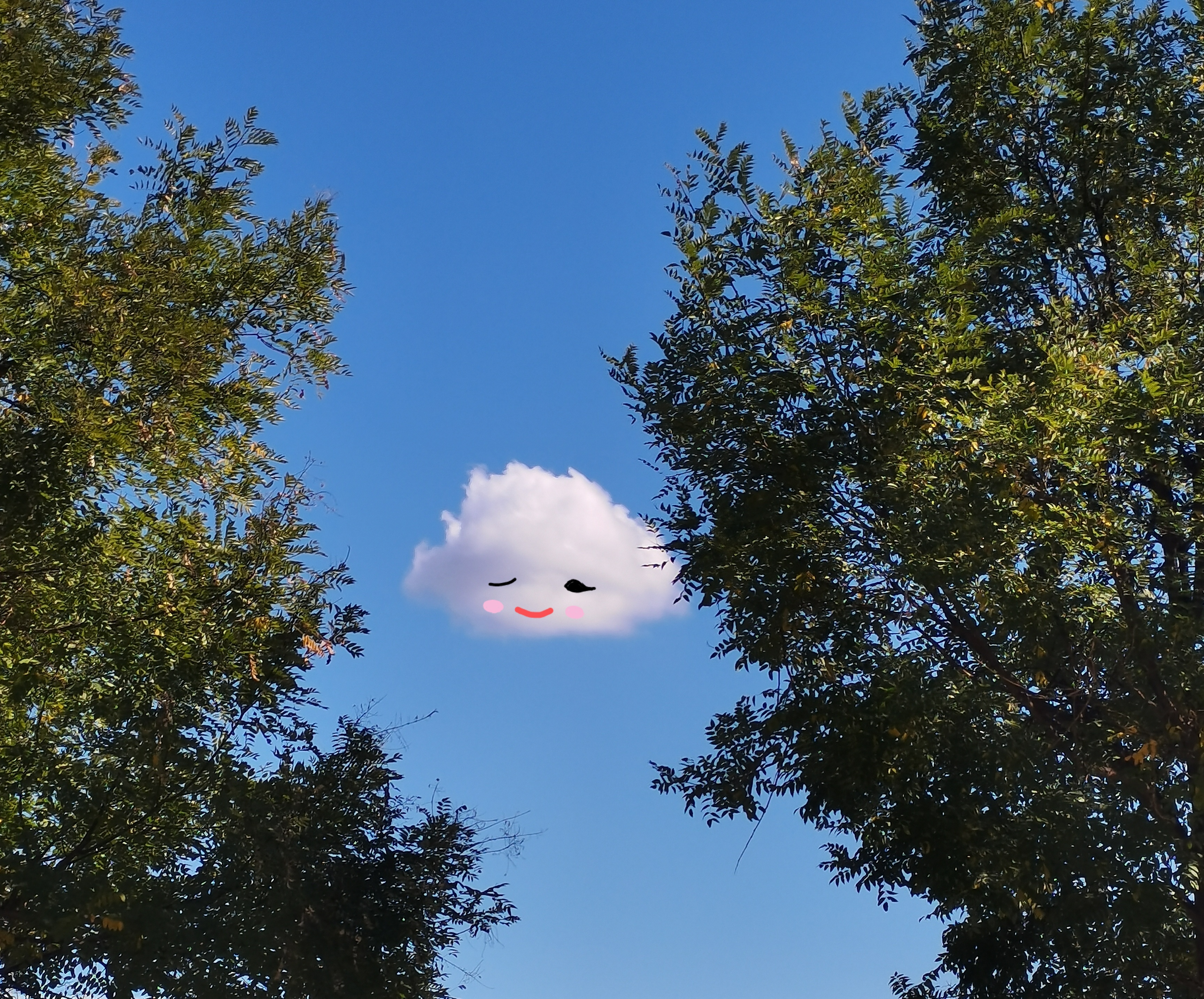 好可爱的小云朵