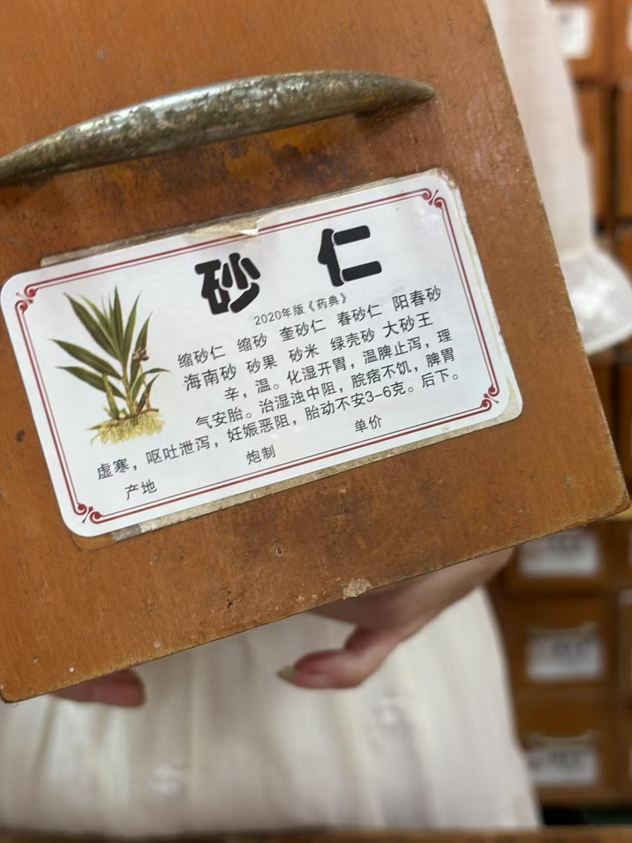 走街串巷访民意 步履丈量乡野间 春织者 突击队深